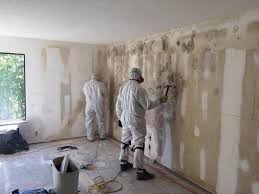 Why You Should Choose Our Mold Remediation Services in Van Wert, OH